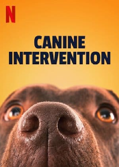 Canine Intervention Season 1 ซับไทย EP.1-6 จบ